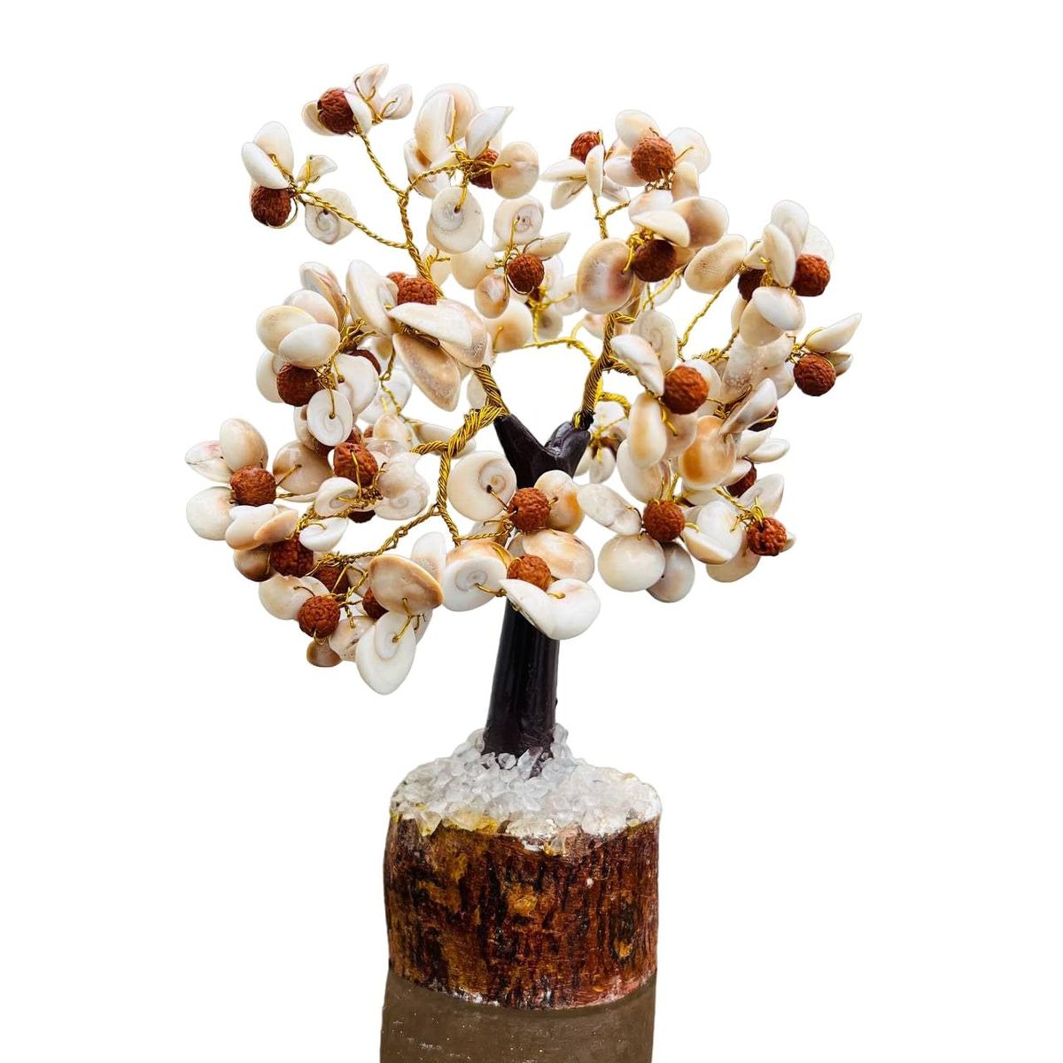 GOMTI CHAKRA AND RUDRAKSH TREE